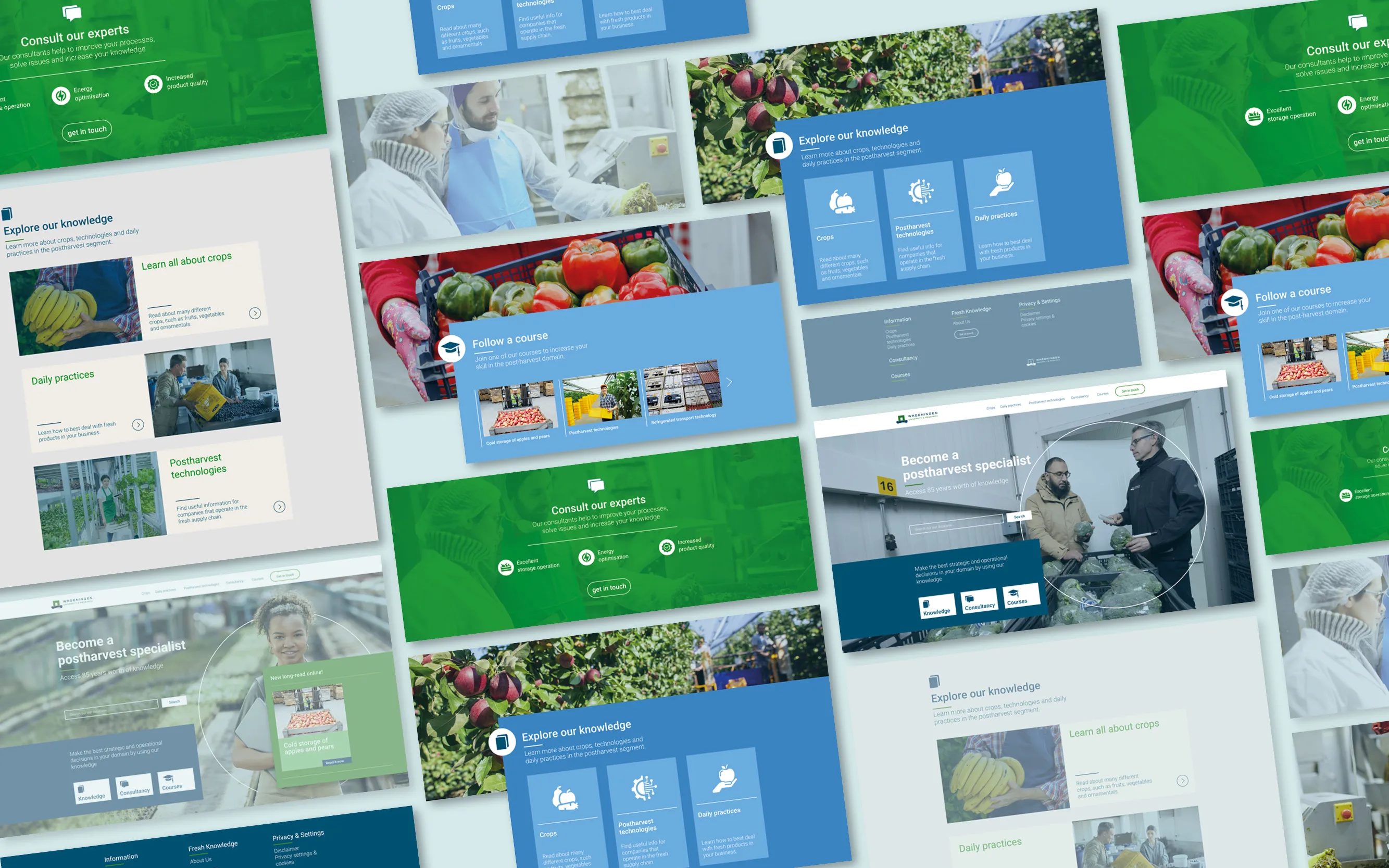 Wageningen Universiteit webdesign elementen